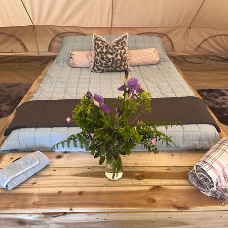 Bluebell Tent At Ballyward Croft Ardkeen 외부 사진