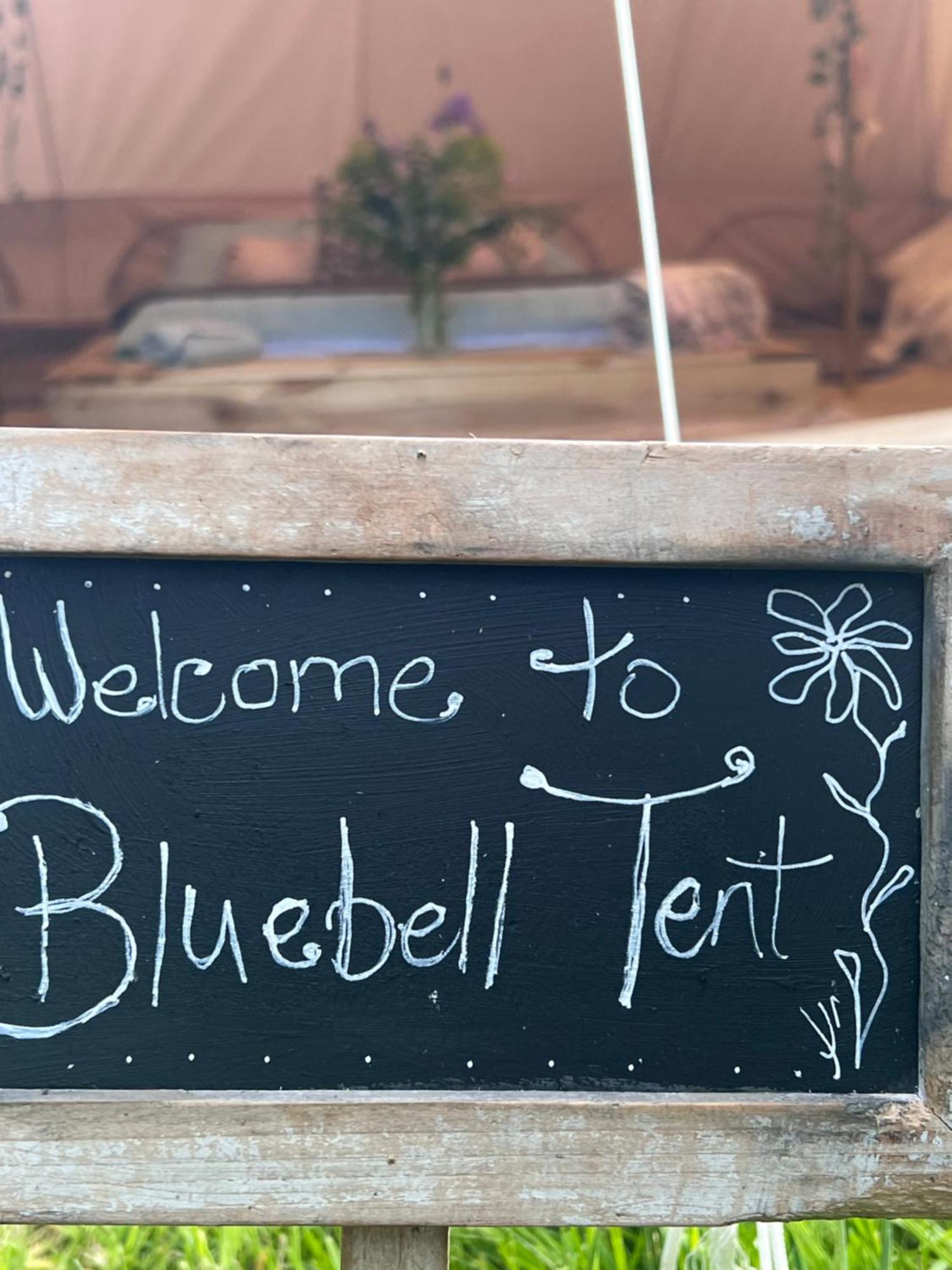 Bluebell Tent At Ballyward Croft Ardkeen 외부 사진