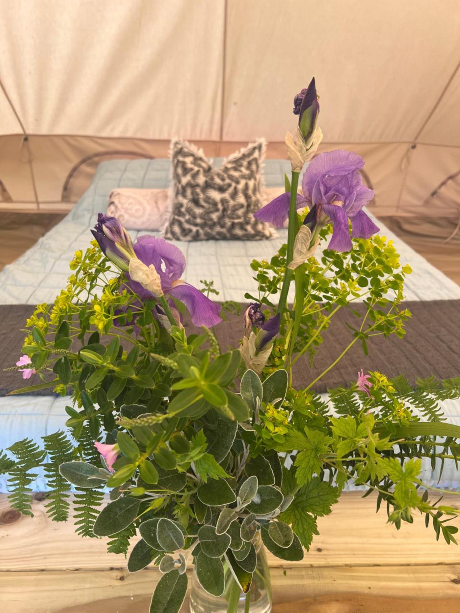 Bluebell Tent At Ballyward Croft Ardkeen 외부 사진